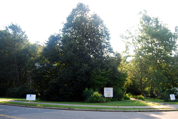 before landscaping