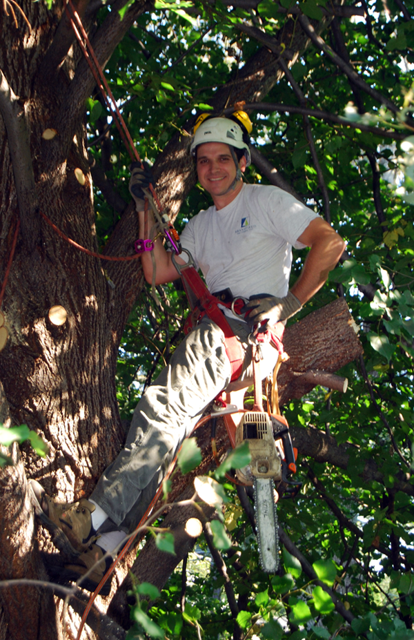Treeman